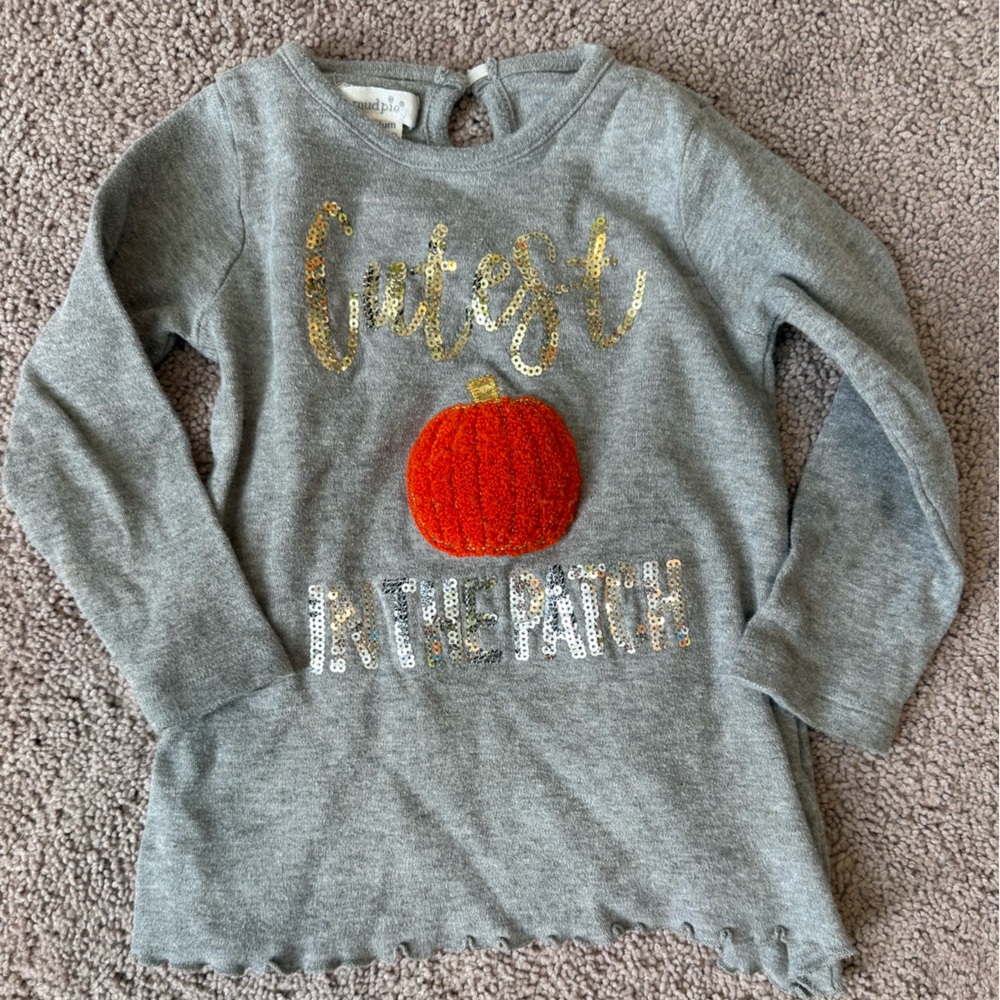 Mud Pie Gray Fall Long Sleeve with Sequins